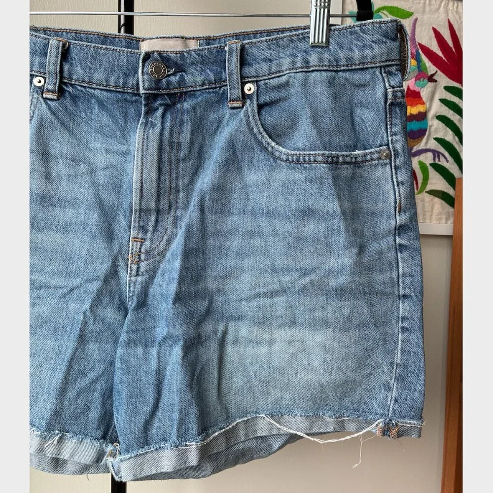 Everlane	The Denim Short - Size 32